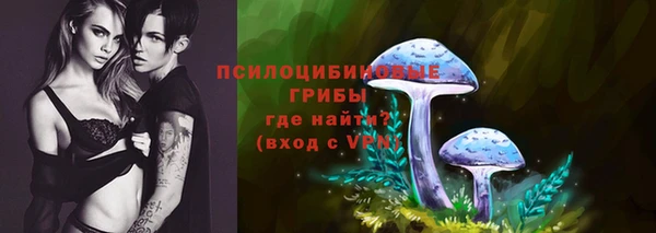 бошки Белокуриха