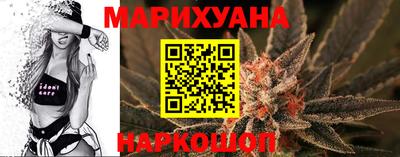 МДПВ Брянск