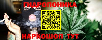 шишки Братск