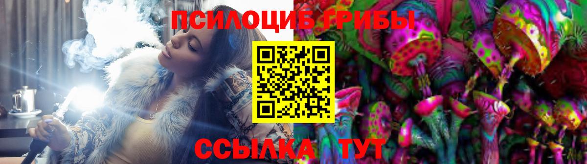 Валуйки  Псилоцибиновые грибы мицелий  Вход с VPN 